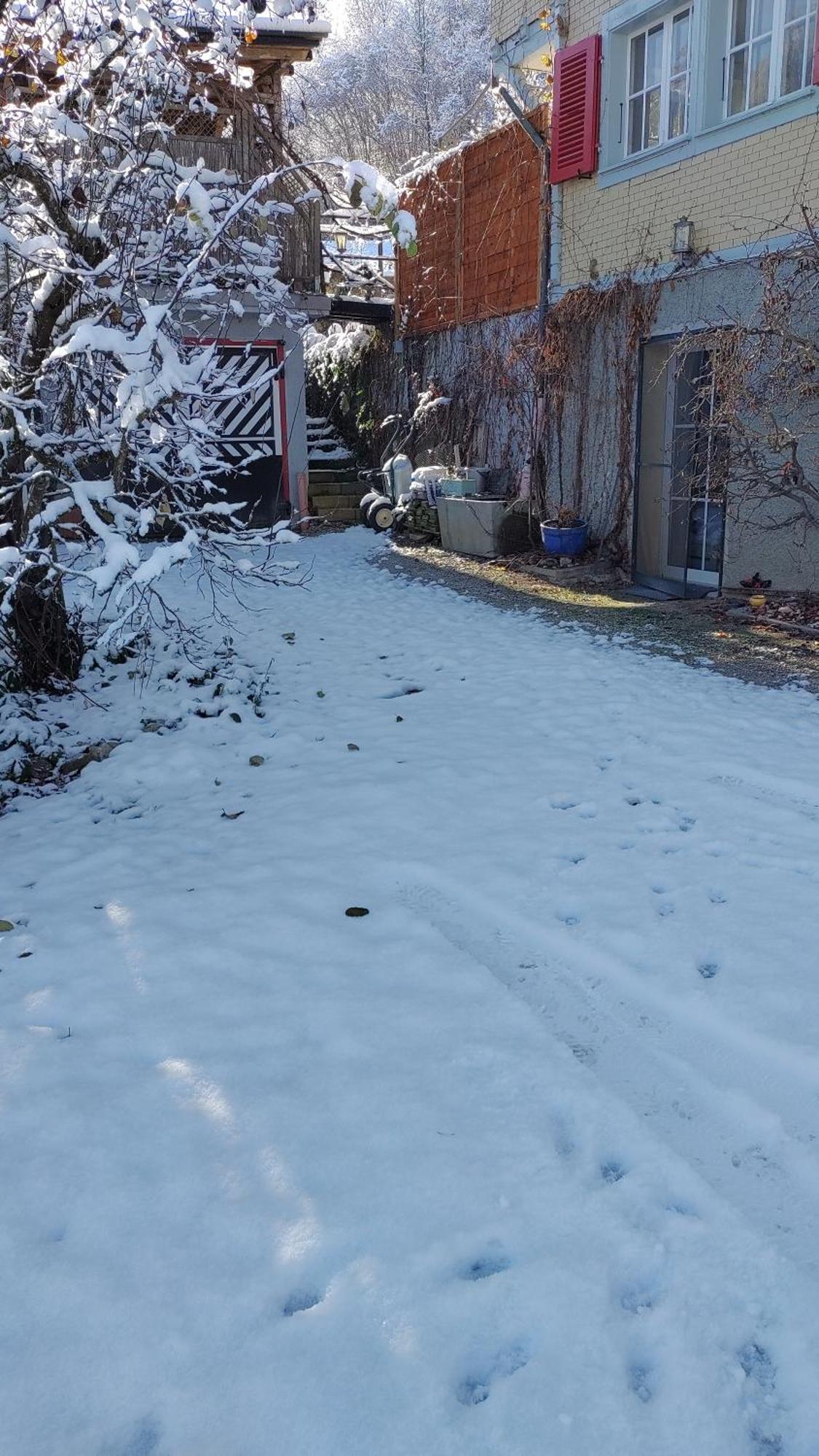 Casa Nemea Apartman Neuenegg Kültér fotó